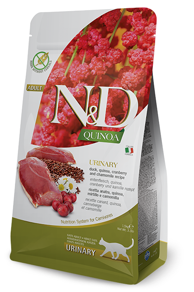 nd-quinoa-urinary